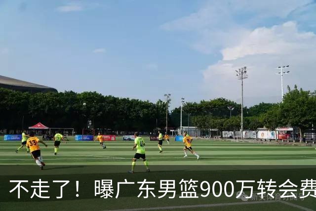 不走了！曝广东男篮900万转会费签下昔日状元内线，杜锋拒绝摆烂